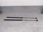 Gasdruckfedern Set Hinten 8731T0 Citroën C4 Picasso (UD/UE/UF) Großraumlimousine 2.0 HDiF 16V 135 (DW10BTED4(RHJ))