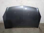 Motorhaube 1160008 Opel Zafira (M75) Gro?raumlimousine 1.9 CDTI 16V (Z19DTH)