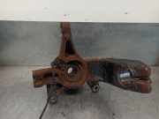 Achsschenkel Halter Links Vorne 8200297028 Renault Grand Scénic II (JM) Großraumlimousine 1.9 dCi 120 (F9Q-812)
