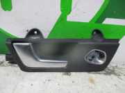 Türgriff Innen Links Hinten 8E0839019 Seat BERLINA (3R2) 2.0 TDI