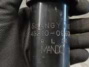 Stoßdämpfer Links Hinten 4531009502 SsangYong Kyron SUV 2.0 M 200 Xdi 16V 4x2 (D20DT(OM664.950))