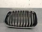 Grill 51712357461 BMW 1 serie (F20) Schrägheck 5-drs 118d 2.0 16V (B47-D20A)
