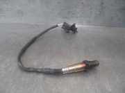 Motorsteuergerät 216447152A Renault DESDE ´98 2.5 Diesel