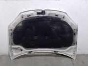 Motorhaube 1K0823031J Volkswagen Golf V (1K1) Schrägheck 1.9 TDI (BXE) BXE