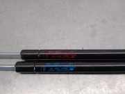 Gasdruckfedern Set Hinten 90461EA500 Nissan Pathfinder (R51) SUV 2.5 dCi 16V (YD25DDTi)