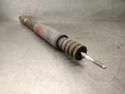 Stoßdämpfer Links Hinten 82003820338 Renault Modus/Grand Modus (JP) Großraumlimousine 1.4 16V (K4J-770(K4J-G7))