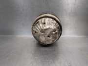 Kühlerventilator 7700436917 Nissan Kubistar (F10/F11) Van 1.5 dCi 65 (K9K-704)