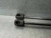 Gasdruckfeder Set Vorne 51237397493 BMW X3 (G01) SUV xDrive 20d 2.0 TwinPower 16V Mild Hybrid (B47-D20B)