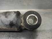 Stoßdämpfer Rechts Hinten 504118330 Iveco New Daily IV Van 35C13V, C13V/P, S13V, S13V/P (F1AE0481V)