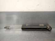 Antriebswelle Rechts Hinten 4234048020 Lexus RX (MCU15) SUV 300 V6 24V VVT-i (1MZ-FE)