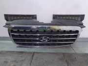 Grill 863523A000 Hyundai Trajet Großraumlimousine 2.0 16V (G4JP)