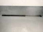 Gasdruckfeder Set Vorne 8Y0823359D Audi A3 Sportback (8YA) Schrägheck 5-drs 1.5 35 TFSI 16V (DPCA)