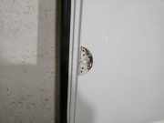 T?r Rechts Hinten 901006293R Dacia Furgoneta/monovolumen 1.6 LPG