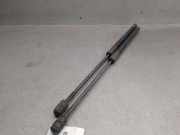 Gasdruckfedern Set Hinten 9801060880 Citroën DS4 (NX) Schrägheck 1.6 e-Hdi 16V 110 (DV6C(9HR))