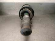 Sto?d?mpfer Rechts Vorne 5202X9 Peugeot 406 Coup? (8C) Coup? 2.2 HDI 16V FAP (DW12TED4.FAP(4HX))