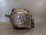 Nebelscheinwerfer Rechts Vorne 6310100001 BMW 3 serie Touring (E91) Kombi 320d 16V (N47-D20A)