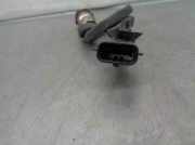 Sonnenblende Rechts A6398100110 Mercedes-Benz VITO (W639) BASIC, Kombi 2.1 CDI CAT