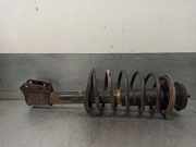 Tür Links Vorne 1M0831055N Seat Toledo (1M2) Limousine 1.9 TDI 110 (AHF)