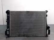 Radiator A2215000203 Mercedes-Benz S (W221) Limousine 3.0 S-320 CDI 24V (OM642.930)
