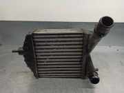 Ladeluftkühler 46836770 Fiat Idea (350AX) Großraumlimousine 1.3 JTD 16V Multijet (188.A.9000)