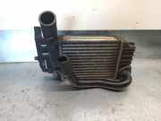 Ladeluftkühler 179000N020 Toyota Yaris II (P9) Schrägheck 1.4 D-4D (1NDTV)