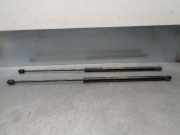 Gasdruckfeder Set Vorne Mercedes-Benz S (W220) Limousine 3.2 S-320 CDI 24V (OM613.960)