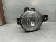 Nebelscheinwerfer Links Vorne 63176924655 BMW (E70) 3.0 sd