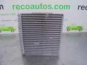 Klima Verdampfer Ford Fusion Kombi 1.4 16V (FXJC)