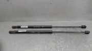 Gasdruckfedern Set Hinten 8731F8 Peugeot 307 SW (3H) Kombi 2.0 HDi 110 FAP (DW10ATED(RHS))