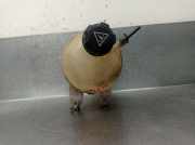 Ausgleichbehälter - - 9800777280 Peugeot 207/207+ (WA/WC/WM) Schrägheck 1.4 16V Vti (EP3(8FS))