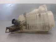Ausgleichbehälter - 217100014R Renault LAGUNA III 2.0 dCi Diesel CAT