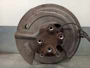 Achsschenkel Halter Rechts Hinten 430420279R Renault SCENIC IV Grand Limited