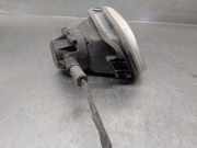 Nebelscheinwerfer Links Vorne 7700817602 Renault 19 Phase II/III (L53) Limousine 1.8 RN,RT MPI (F3P-700(F3P-M7))