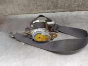 Handbremshebel 360108M100 Nissan Almera (N16) Limousine 1.5 16V (QG15DE(Euro 4))