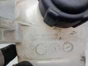 Ausgleichbehälter - - 217101893R Renault III Autobús (JG_) 1.6 dCi 95 (JGMR, JGMJ)