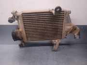 Ladeluftkühler 8970899434 Opel Monterey (A) Geländewagen 3.1 TD (4JG2-TC)