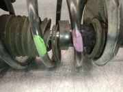 Stoßdämpfer Links Vorne 54303BM419 Nissan ALMERA (N16/E) 1.5 16V CAT