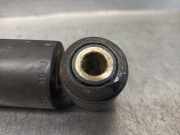 Sto?d?mpfer Links Hinten 877321101999 Fiat Punto I (176) Schr?gheck 60 1.2 S,SX,Selecta (176.B.4000)
