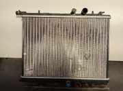 Radiator 517197 Peugeot 206 (2A/C/H/J/S) Schrägheck 1.9 D (DW8(WJZ))