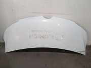 Motorhaube M9T Renault MASTER III Furgoneta (FV) 2.3 dCi 135 FWD (FV0N, FV08)