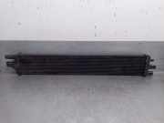 Radiator 214C10001R Renault Master III (FV) Van 2.3 dCi 170 16V FWD (M9T-706(M9T-D7))