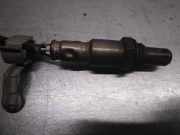 Kotflügel Links Vorne 631012289R Dacia Sandero Schrägheck 1.5 dCi 75 (K9K-892)