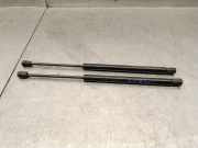 Gasdruckfedern Set Hinten 21SGZ001 Hyundai Santa Fe I SUV 2.0 CRDi 16V 4x2 (D4EA)