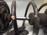 Katalysator 2432021440 SsangYong Rodius Großraumlimousine 2.7 270 Xdi 20V 4x2 (M665.925(Euro 4))