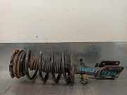 Stoßdämpfer Rechts Vorne 8200329948A Renault Espace (JK) Großraumlimousine 3.0 dCi V6 24V (P9X-701(Euro 3))