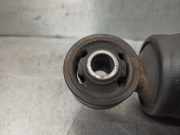 Stoßdämpfer Links Hinten 51738252 Fiat Doblo Cargo (223) Van 1.9 JTD (223.A.7000)