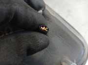 Außenspiegel Rechts 6K1857508J Seat Ibiza II (6K1) Schrägheck 1.9 TDi GT (AGR)