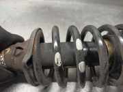 Stoßdämpfer Rechts Vorne 96336490 Daewoo / Chevrolet Matiz Schrägheck 0.8 S,SE (F8CV)