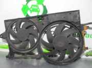 K?hlerventilator 8240141 Citro?n CITRO?N 1.9 Diesel DW8B(WJY)