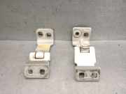 Scharniere 51810516 Fiat Doblo (263) Großraumlimousine 1.3 D Multijet (199.A.3000)